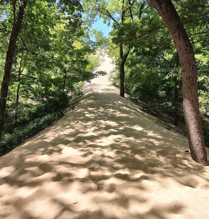 Warren Dunes State Park - 2023 Recent Photo From Website (newer photo)